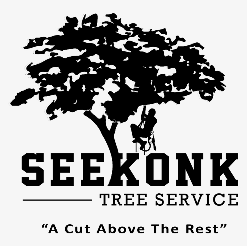 Picture - Tree Service Company Logo, transparent png #731350