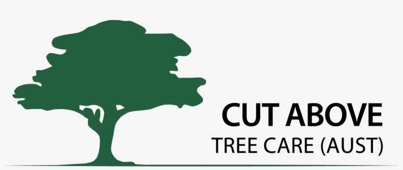 Cut Above Tree Care - Queensland, transparent png #731497