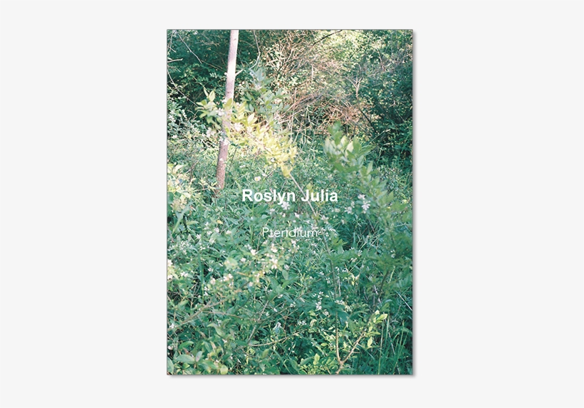 Roslyn Julia - Pteridium - Brown Owl Press, transparent png #731565