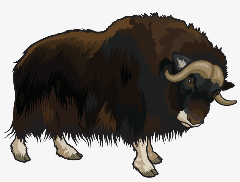 Buffalo Png Clipart - Buffalo Clipart Png, transparent png #731674