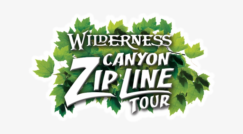 Parsley, transparent png #731867