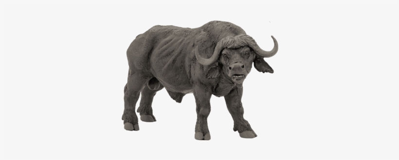 Free Png African Buffalo Png Images Transparent - Papo African Buffalo Figure, Black, transparent png #731998