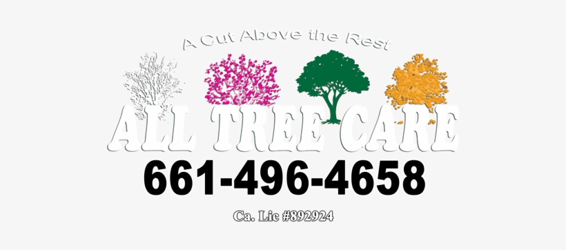 All Tree Care - Alltree Care, transparent png #732069