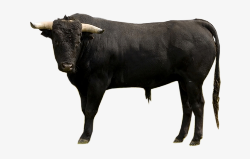 Buffalo Png Transparent Images - Bull On A Court Phone Case - Samsung Galaxy S6, transparent png #732146