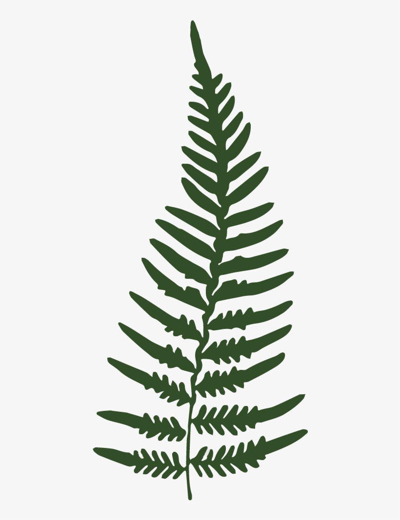 Favicon - Portable Network Graphics, transparent png #732229