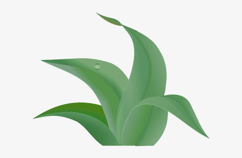 Jungle Leaves Clip Art - Leaf, transparent png #732394