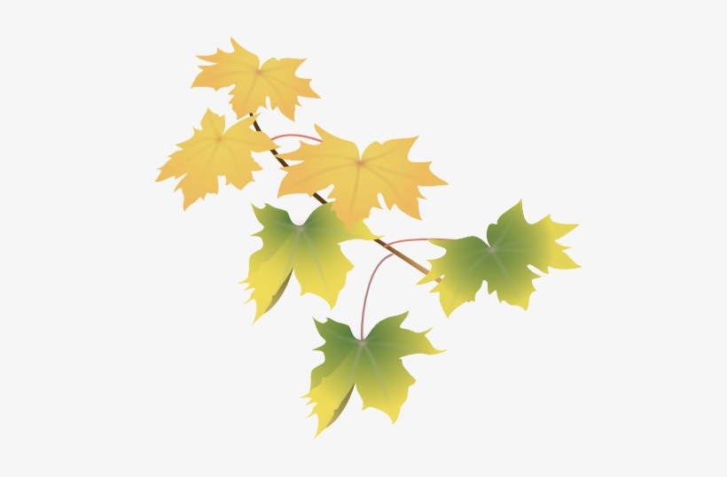 Leaves Green, transparent png #732521