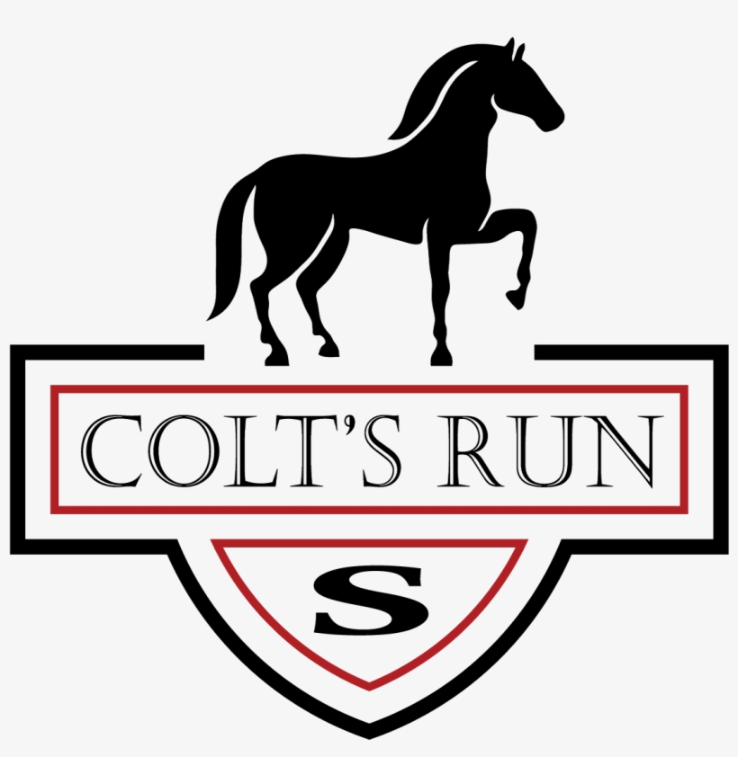 Colt's Run South Located In Lower Nazareth Township - Horse, transparent png #732543
