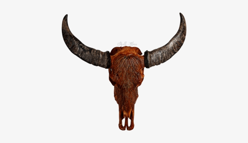 Buffalo Skulls - Buffalo Skull Png, transparent png #732546