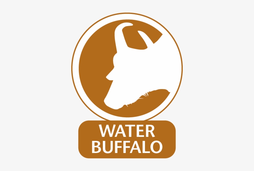 Water Buffalo Monoclonal Antibodies For Use In Water, transparent png #732604