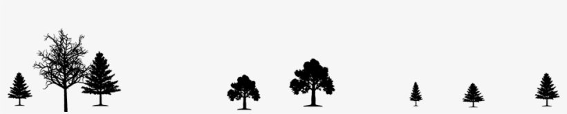 A Step Above The Rest - United States Green Chamber Of Commerce, transparent png #732606