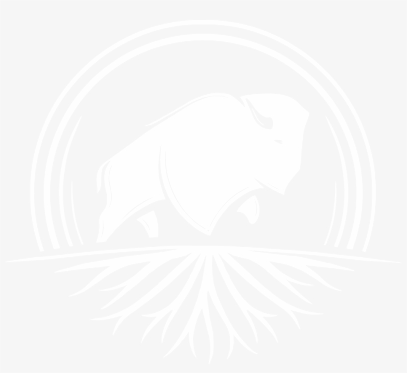 White Buffalo, transparent png #732890