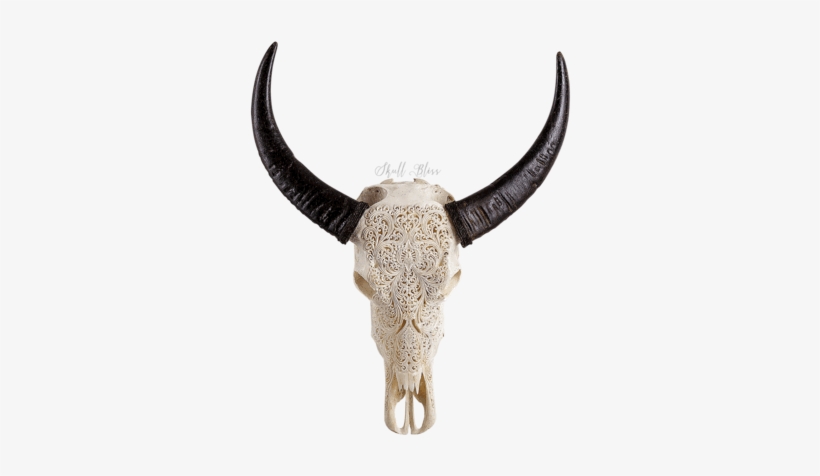 Carved Buffalo Skull - Skull, transparent png #733038