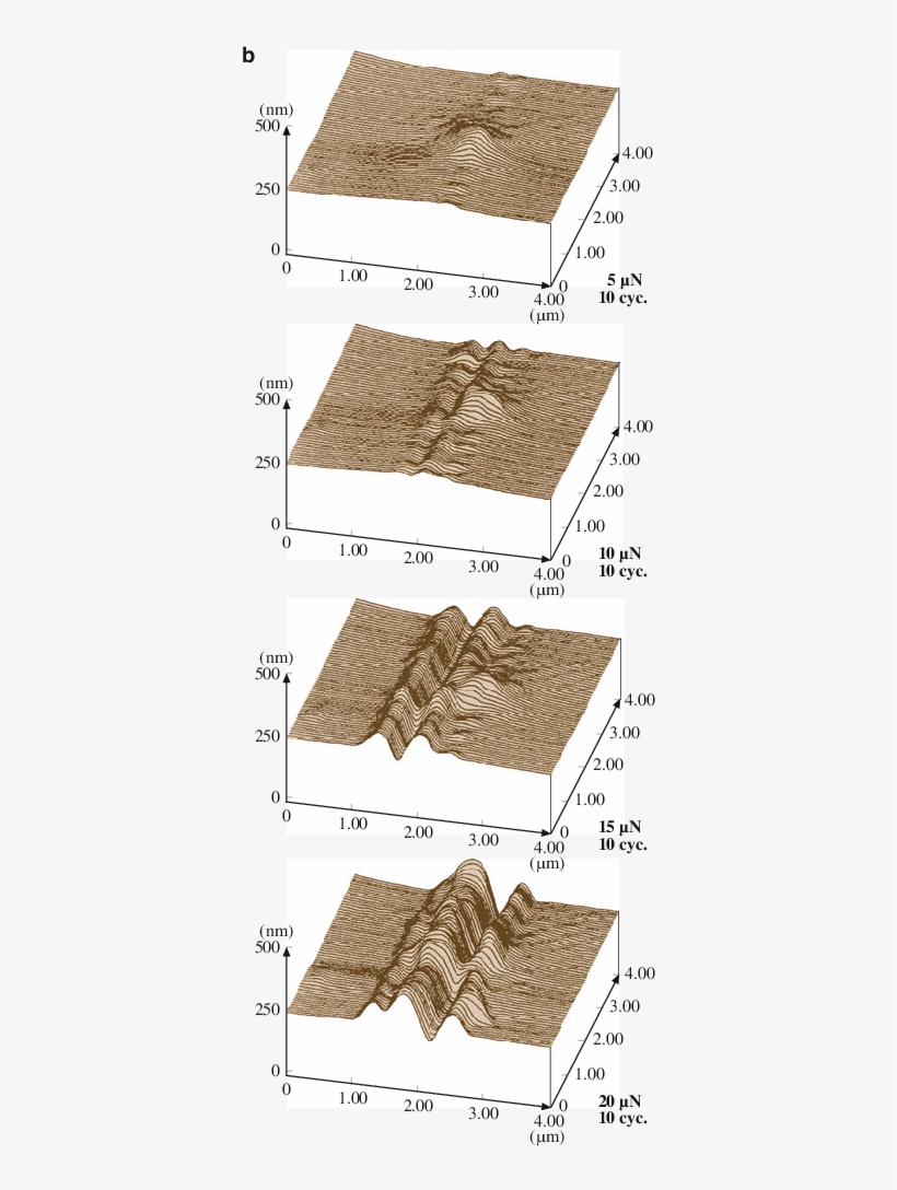 Surface Profiles For Scratched Pet Film Polymer Region, - Floor, transparent png #733194