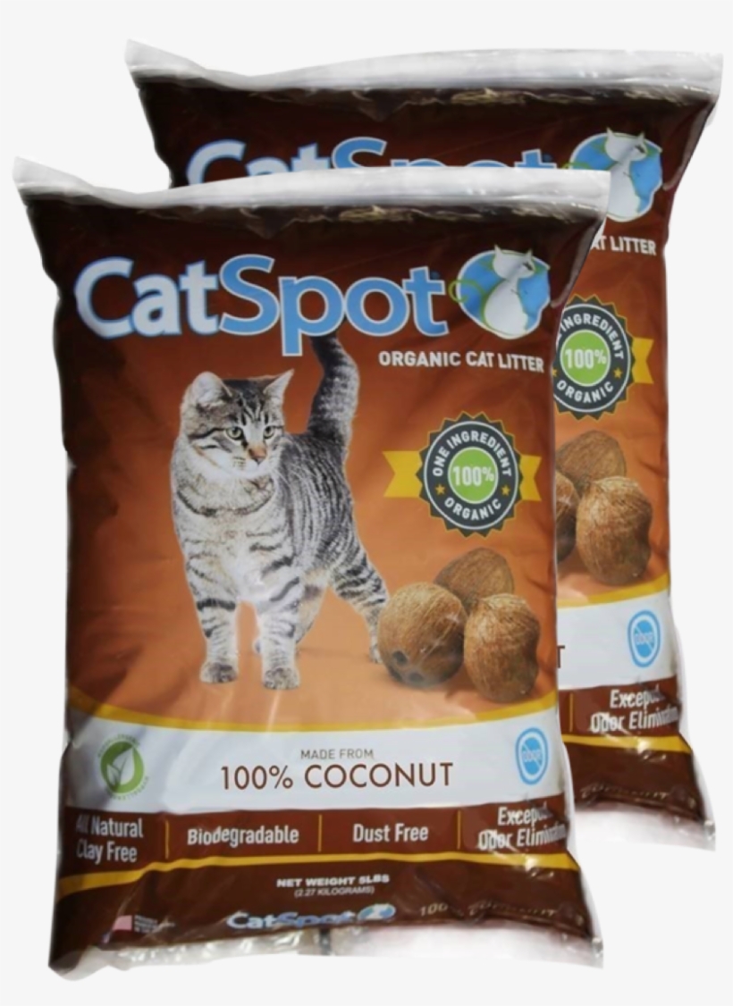 Refunds Are Only Offered On The Very First Purchase - Kitten, transparent png #735166