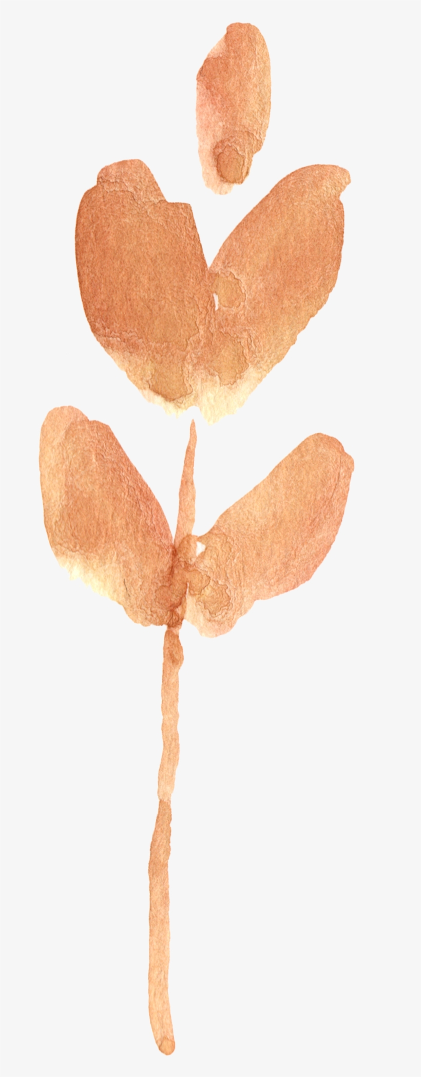 Free Fall Watercolor Floral Clip Art- So Pretty, transparent png #735213