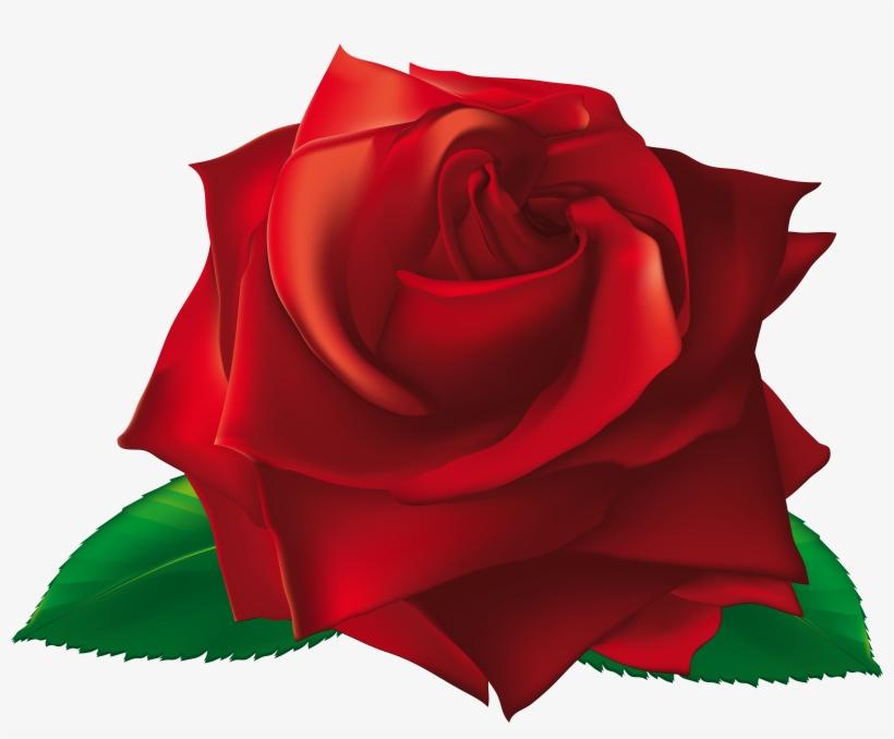 View Full Size - Single Rose Flowers Png, transparent png #736973