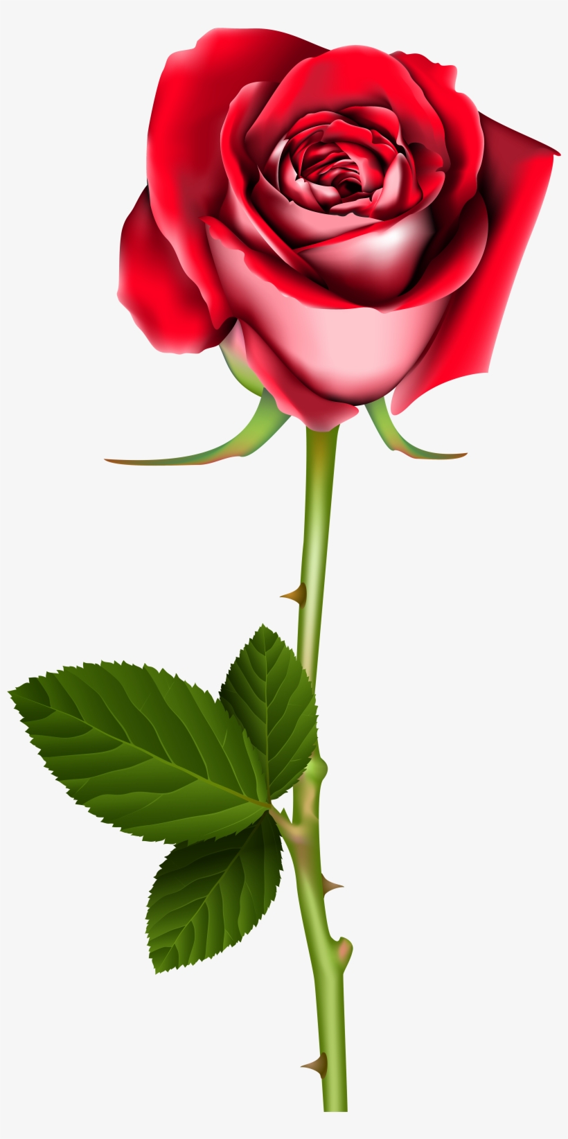 Rose Png Clip Art - Clip Art Roses Png, transparent png #737154