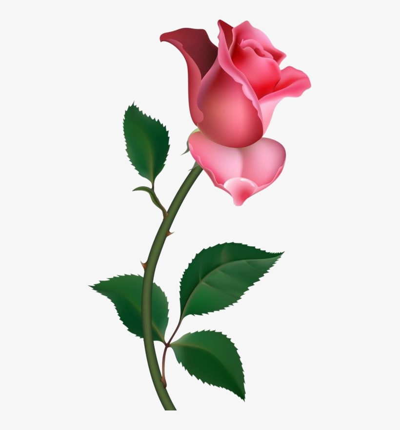 Single Rose Png Pic - Clip Art Rose, transparent png #737265
