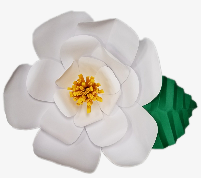 Magnolia Clipart Single - Paper, transparent png #737696