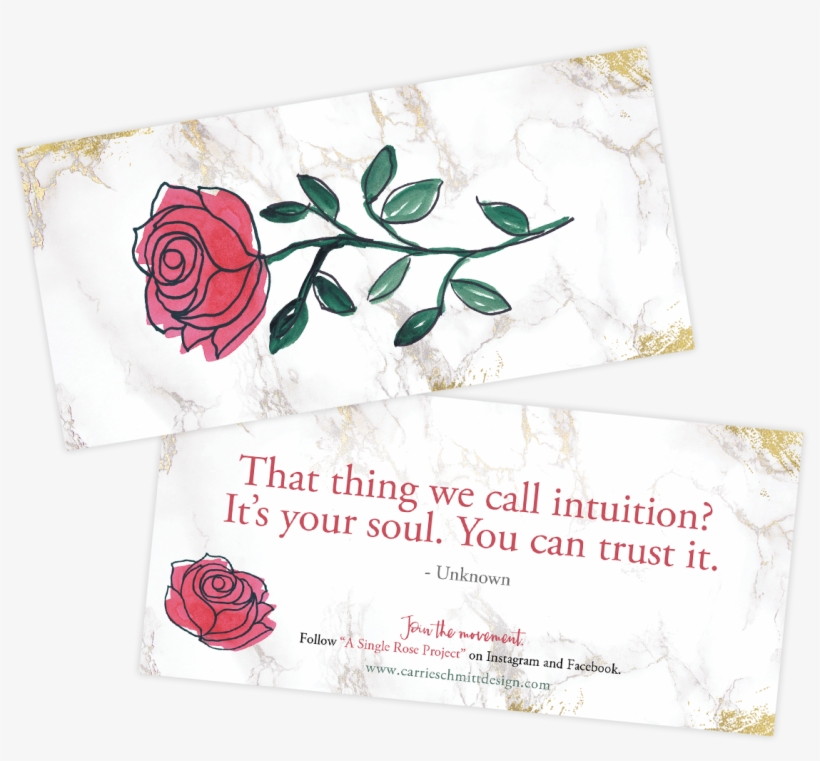 Rose Card Sets Available - Garden Roses, transparent png #737795
