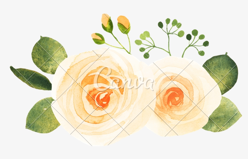 Yellow Roses Watercolor - Garden Roses, transparent png #737983