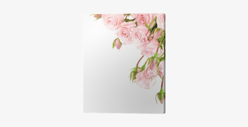 Pink Rose Border Clipart, transparent png #738357