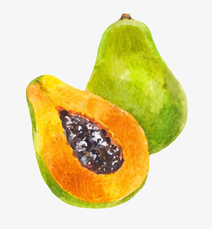 Hand Painted A Half Papaya Png Transparent - Papaya, transparent png #738445
