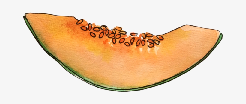 Cantaloupe June2018 Lyndsay - Honeydew, transparent png #738893