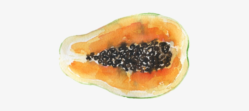 Papaya - - Papaya, transparent png #739244