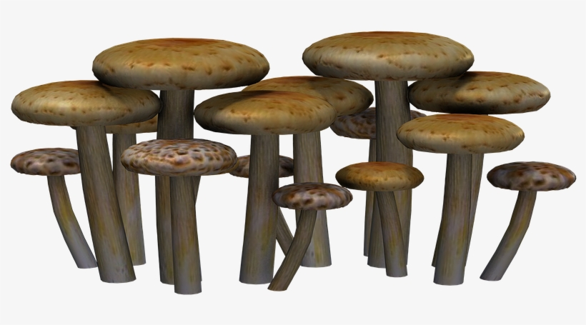 Transparent Png Mushroom Clipart Mushroom Colorful, transparent png #739396