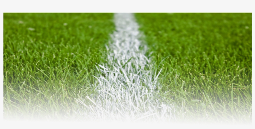 Football Grass Png - Football Pitch Grass Png, transparent png #739945