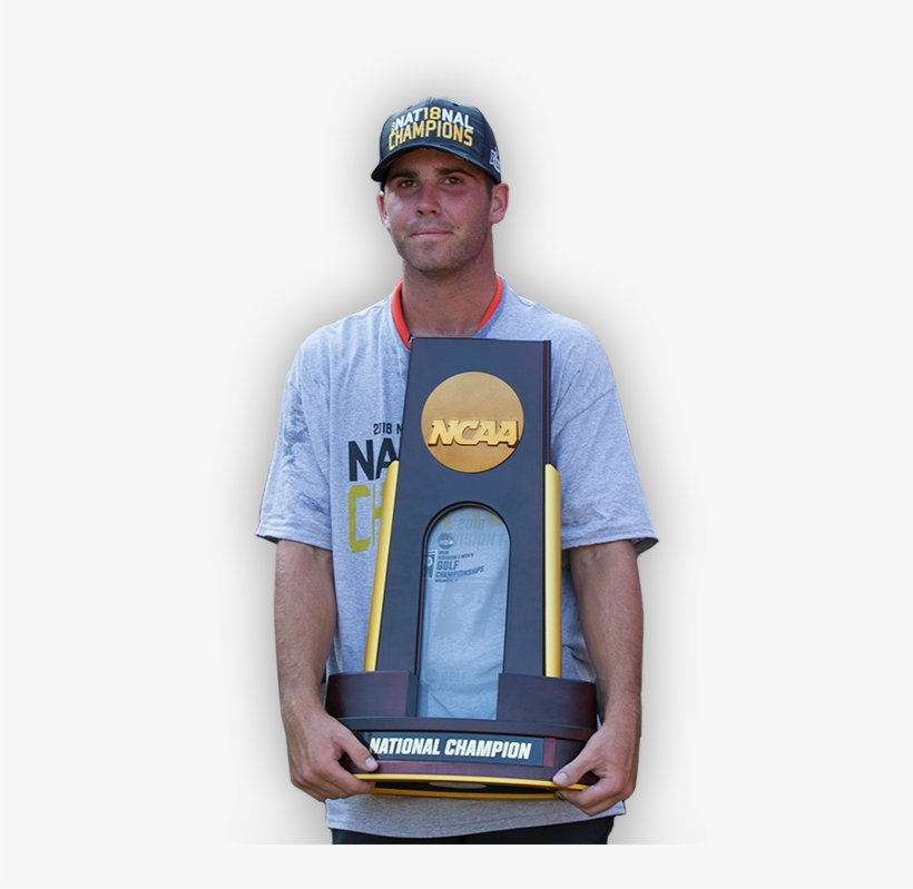 Slide, transparent png #7302502