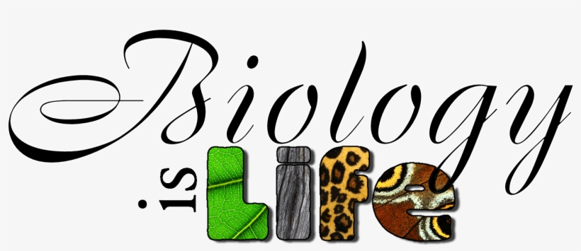 Biology Title Page Clipart, transparent png #7302962