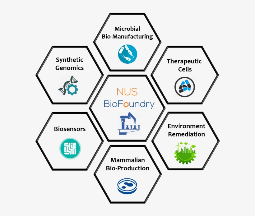 Synthetic Biology, transparent png #7303068