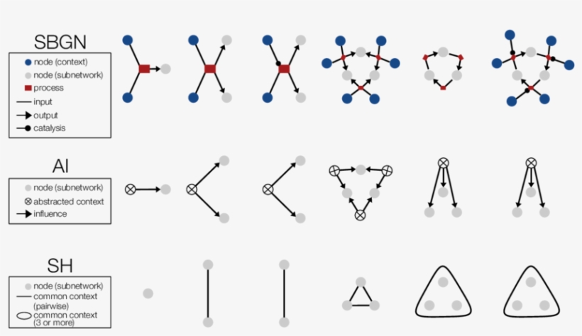 Abstract Influence Representation Of Biological Networks, transparent png #7303203