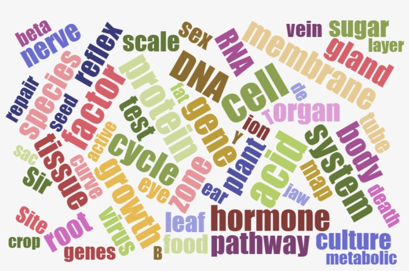 Biology, transparent png #7303605