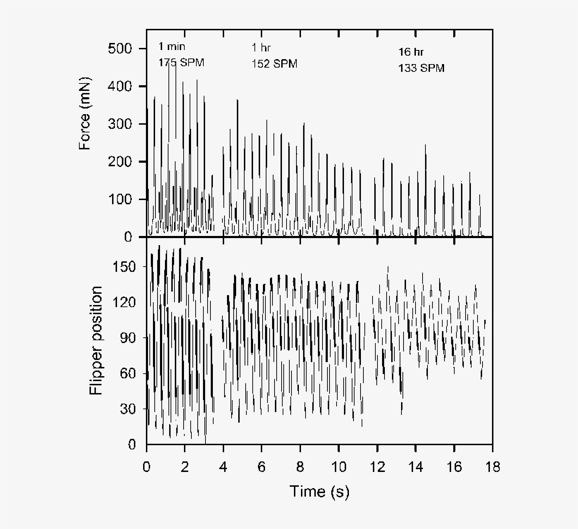 Traces Of Force Production And Mean Front Flipper Tip, transparent png #7303656