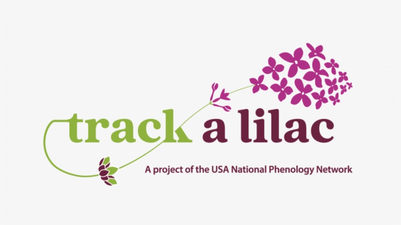 Track A Lilac Logo, transparent png #7307998