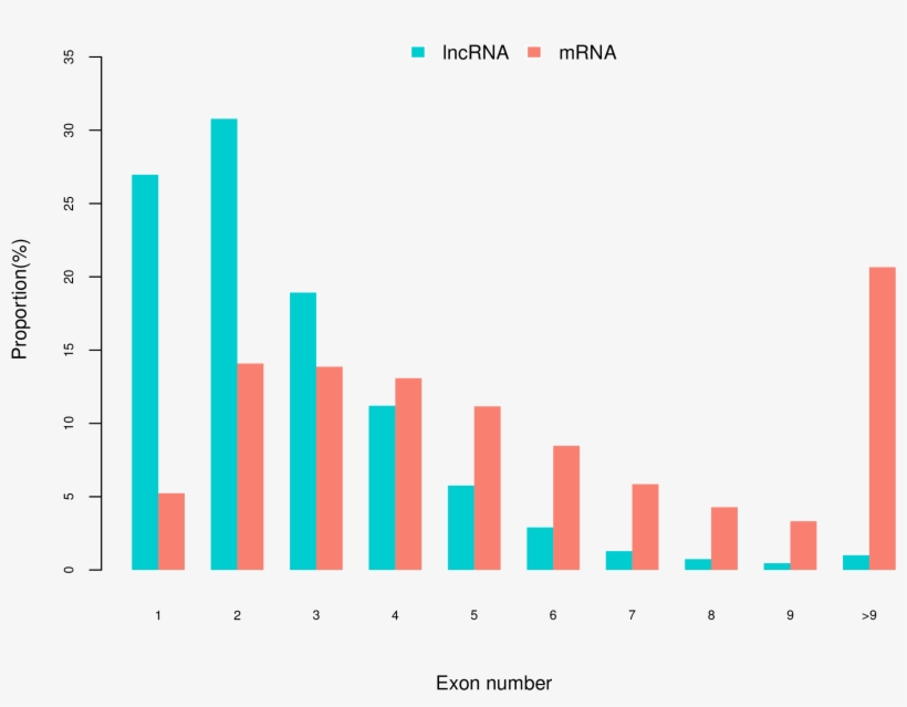 Ikaros Png, transparent png #7308864