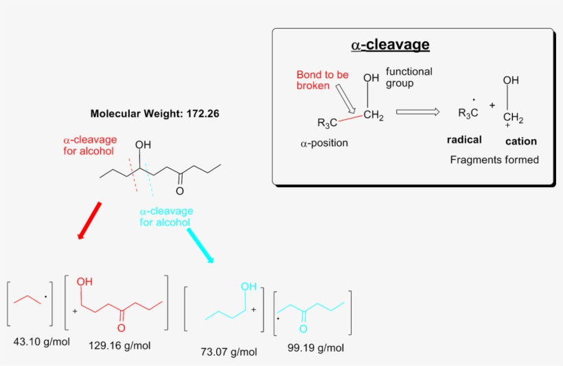 We See That The Overall Molecular Weight For The Compound, transparent png #7310927