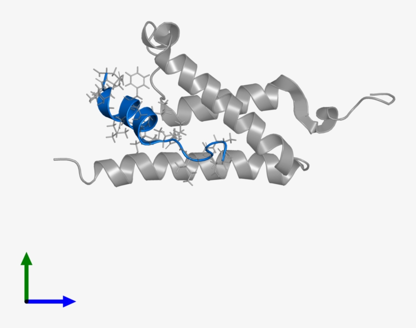 <div Class='caption-body'>pdb Entry 2lxs Contains 1, transparent png #7312098