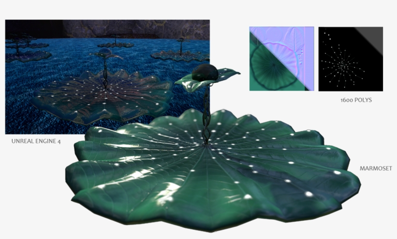 Lilypad, transparent png #7312164