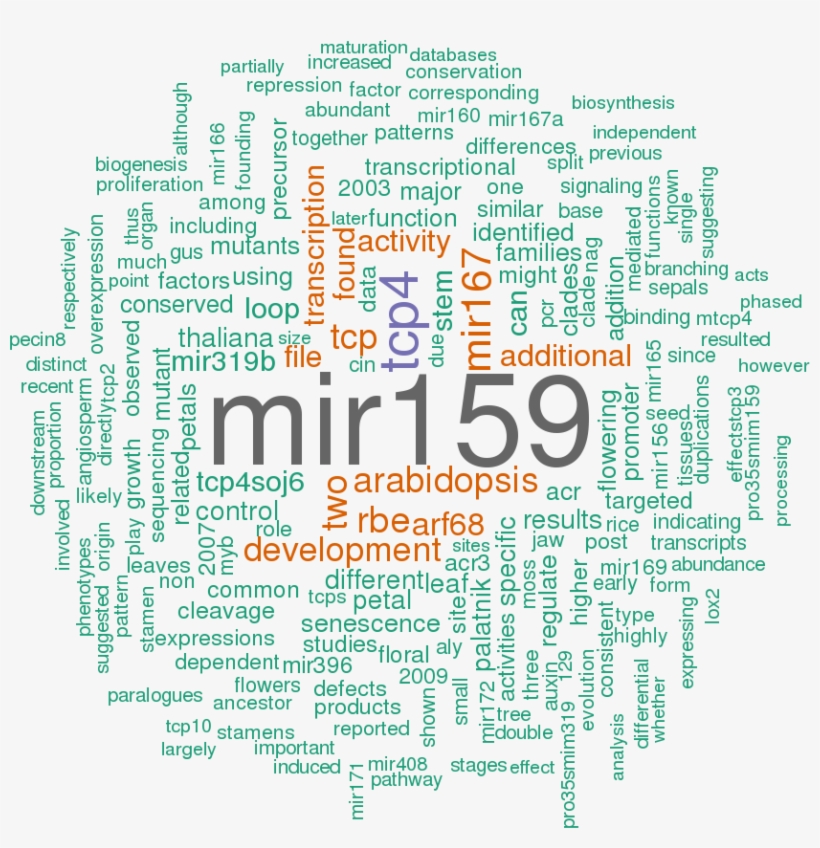 Stem Loop Sequence Ath Mir319a, transparent png #7312318