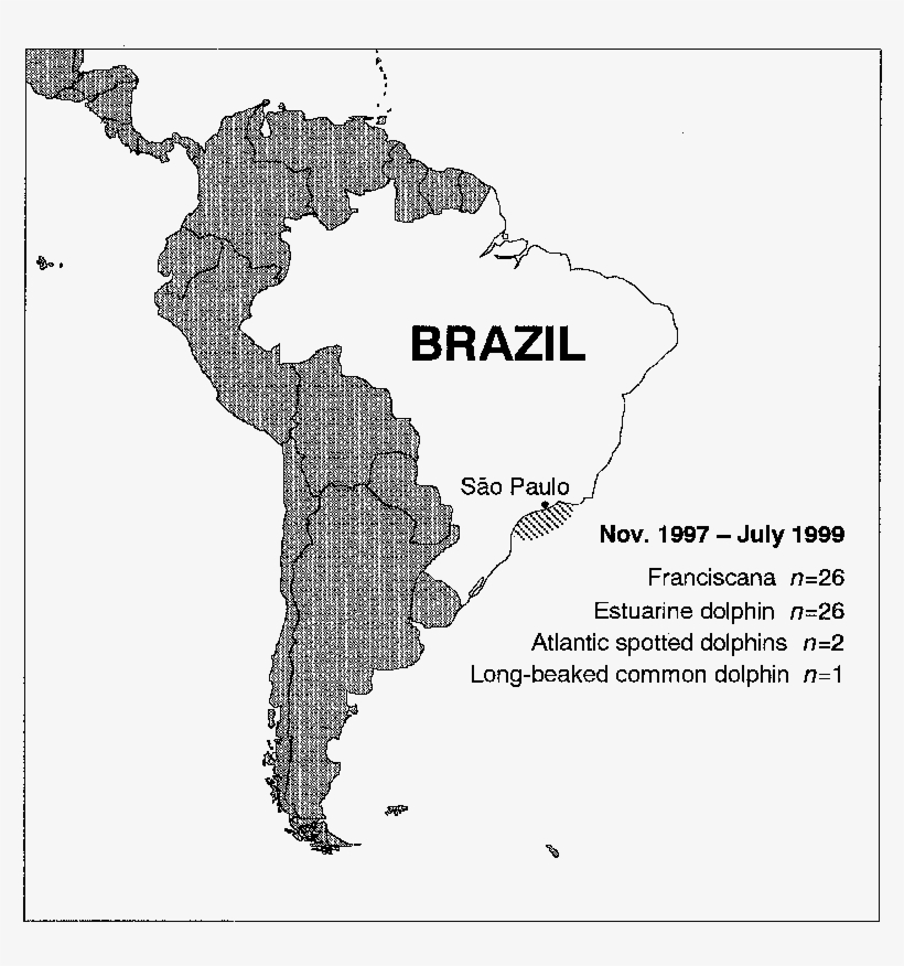 Map Showing The Location Of Cetaceans Incidentally, transparent png #7314000