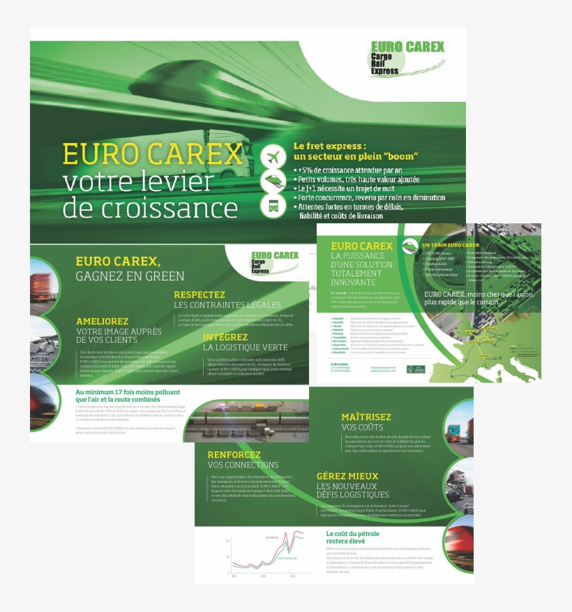 Euro Carex, transparent png #7314669