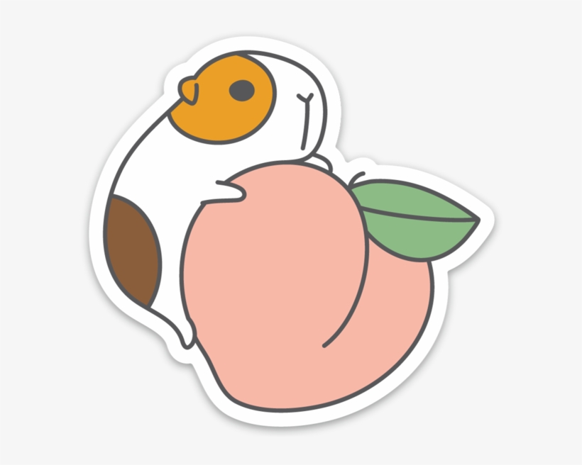 G U I N E A Pig And Peach Vinyl Sticker, transparent png #7314903