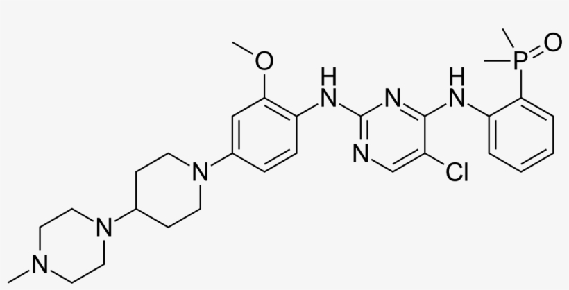 Takeda's Alunbrig Shows Promise As First-line Alk Nsclc, transparent png #7315533