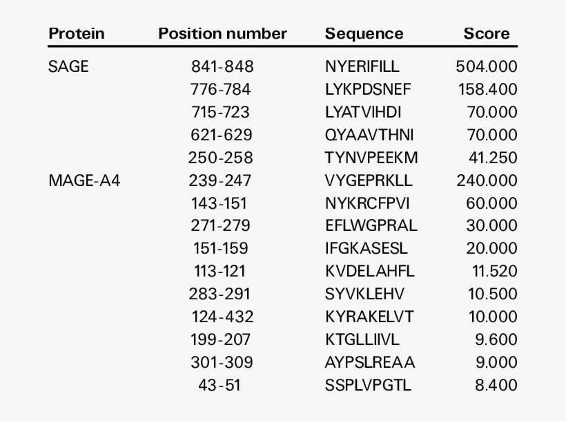 Candidate Hla A24 Restricted Peptides Derived From, transparent png #7316473