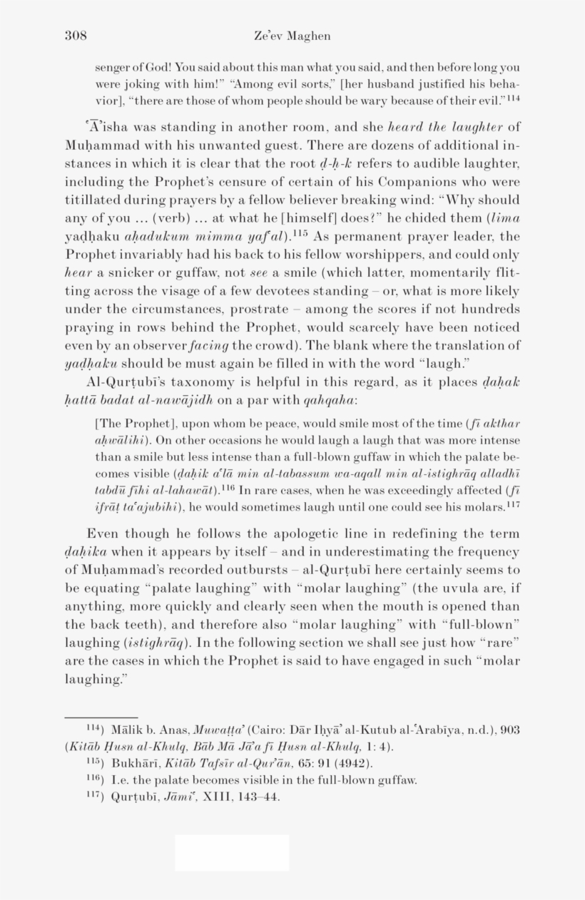 308 Ze Ev Maghen Senger Of God You Said About This, transparent png #7318562